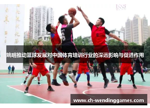姚明推动篮球发展对中国体育培训行业的深远影响与促进作用
