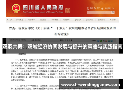 双羽共舞：双城经济协同发展与提升的策略与实践指南