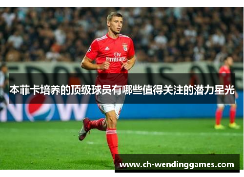 本菲卡培养的顶级球员有哪些值得关注的潜力星光