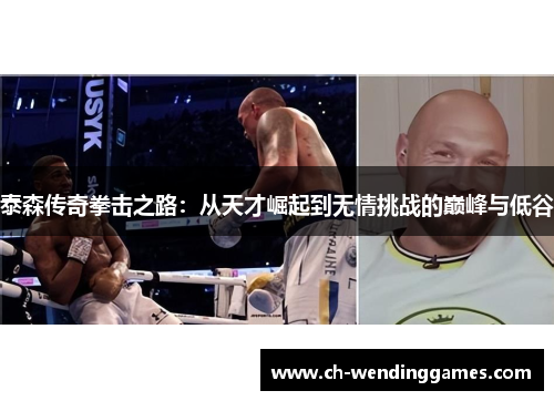 泰森传奇拳击之路：从天才崛起到无情挑战的巅峰与低谷