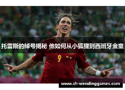 托雷斯的绰号揭秘 他如何从小狐狸到西班牙金童