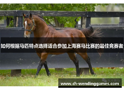 如何根据马匹特点选择适合参加上海赛马比赛的最佳竞赛者