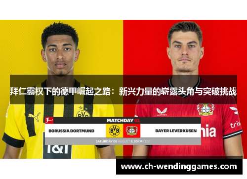 拜仁霸权下的德甲崛起之路：新兴力量的崭露头角与突破挑战